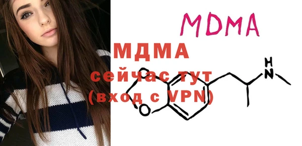 индика Заволжье
