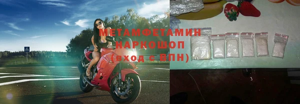 индика Заволжье