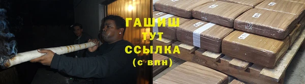 индика Заволжье
