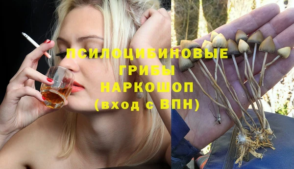 индика Заволжье