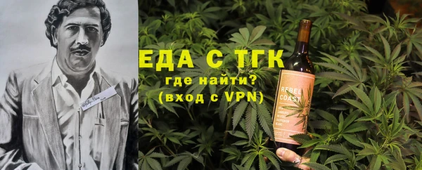 индика Заволжье