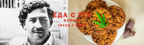 индика Заволжье