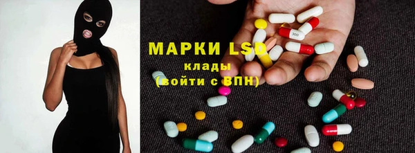 индика Заволжье