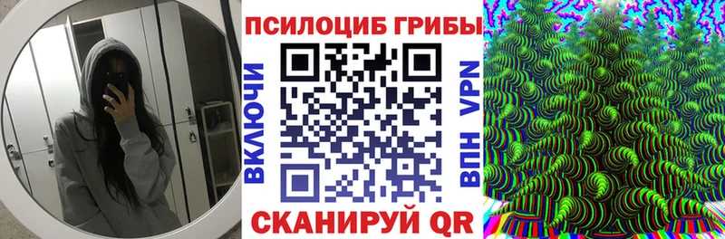 Купить где  Калуга  Галлюциногенные грибы Cubensis 